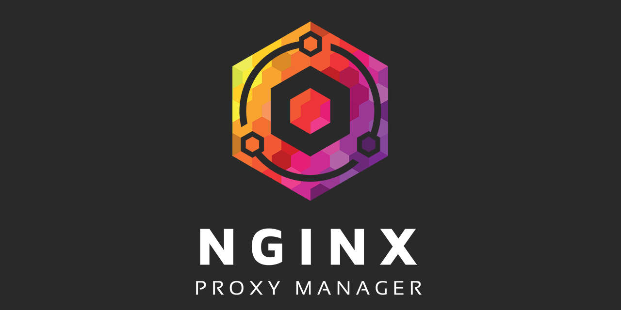 IPv4 trotz DS-Lite – so geht’s mit WireGuard & Nginx Proxy Manager